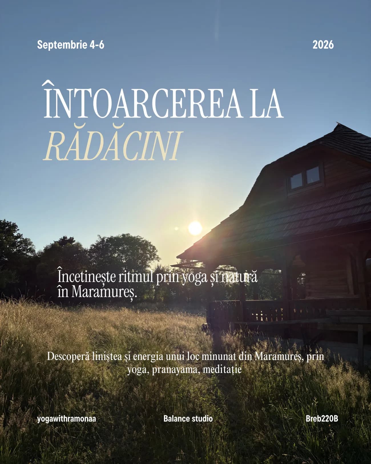 Afișul Întoarcerea la rădăcini: o casă de lemn din Breb la apus, în iarba înaltă